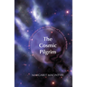 The Cosmic Pilgrim: A Spiritual Exploration of the New Story of Science and Religion