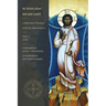 In Your Light We See Light: A Reformed Theology of Divine Illumination