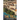 The Fall