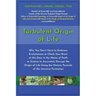 Turbulent Origin of Life: Why You Don't Have to Embrace Evolutionism or Check Your Brain at the Door in the Name of Faith or Science to Accurately Dec