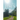 Walking with Jesus