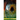 Diseases of the Eye: History of Ophthalmic Medicine - Treatments and Diagnoses Described by a Surgeon and Professor of Ophthalmology in the 19th Centu