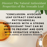 Avocado Leaf Tea Natural Leaf by Avocado Tea Co.