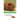 Guinea Pig: Your Happy Healthy Pet