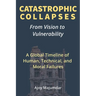 Catastrophic Collapses: From Vision to Vulnerability