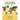 Africa 2024-2025