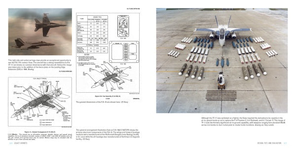 Legacy Hornets by Schiffer Publishing