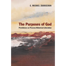 The Purposes of God: Providence as Process-Historical Liberation