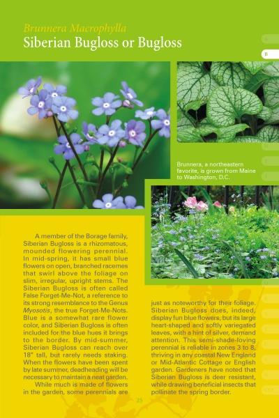 Coastal Garden Plants by Schiffer Publishing