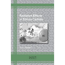 Radiation Effects in Silicon Carbide