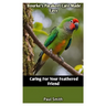 Bourke's Parakeet Care Made Easy: Caring For Your Feathered Friend
