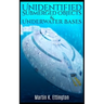 Unidentified Submerged Objects and Underwater Bases