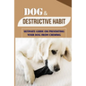 Dog & Destructive Habit: Ultimate Guide On Preventing Your Dog From Chewing: How Do I Train My Dog To Not Chew Everything