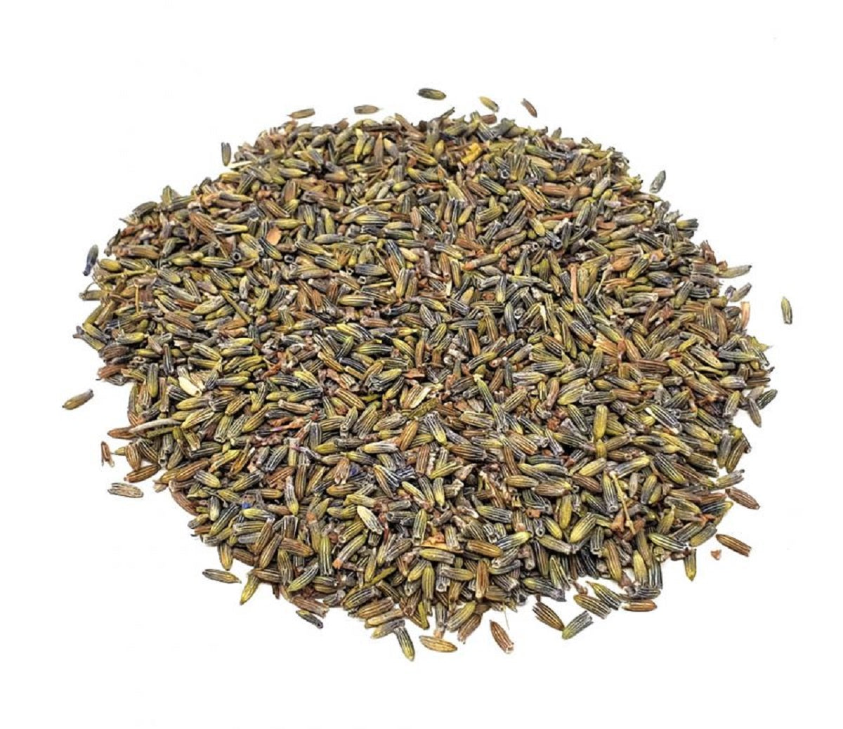 High-Grade dried French Lavender Buds and Flowers by OMSutra