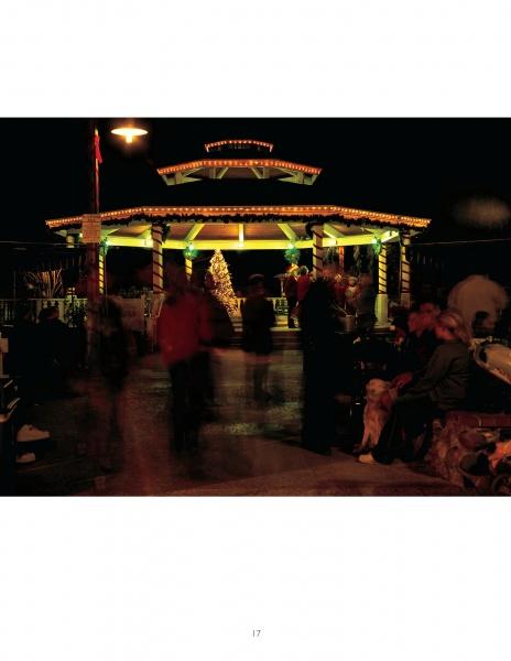 The Big Book of Gazebos, Pergolas, and Other Backyard Architecture by Schiffer Publishing