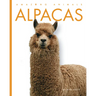 Alpacas
