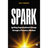 Spark: Igniting Organizational Change Through a Planetary Mindset