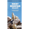 Rocky Mountain Wildlife: A Folding Pocket Guide to Familiar Animals
