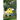 To the Birdhouse