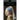 The Science and Practice of Oil Painting