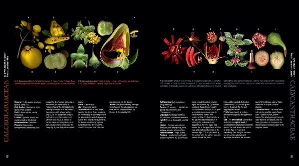 Atlas of Flowering Plants by Schiffer Publishing