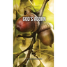God's Acorn
