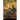 The Novelist