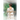 Chances End: A Pride & Prejudice Reimagining