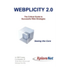 Webplicity 2.0: The Critical Guide to Successful Web Strategies