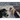 Tails from the Bush: Another Black Bear Sled Dog Adventure