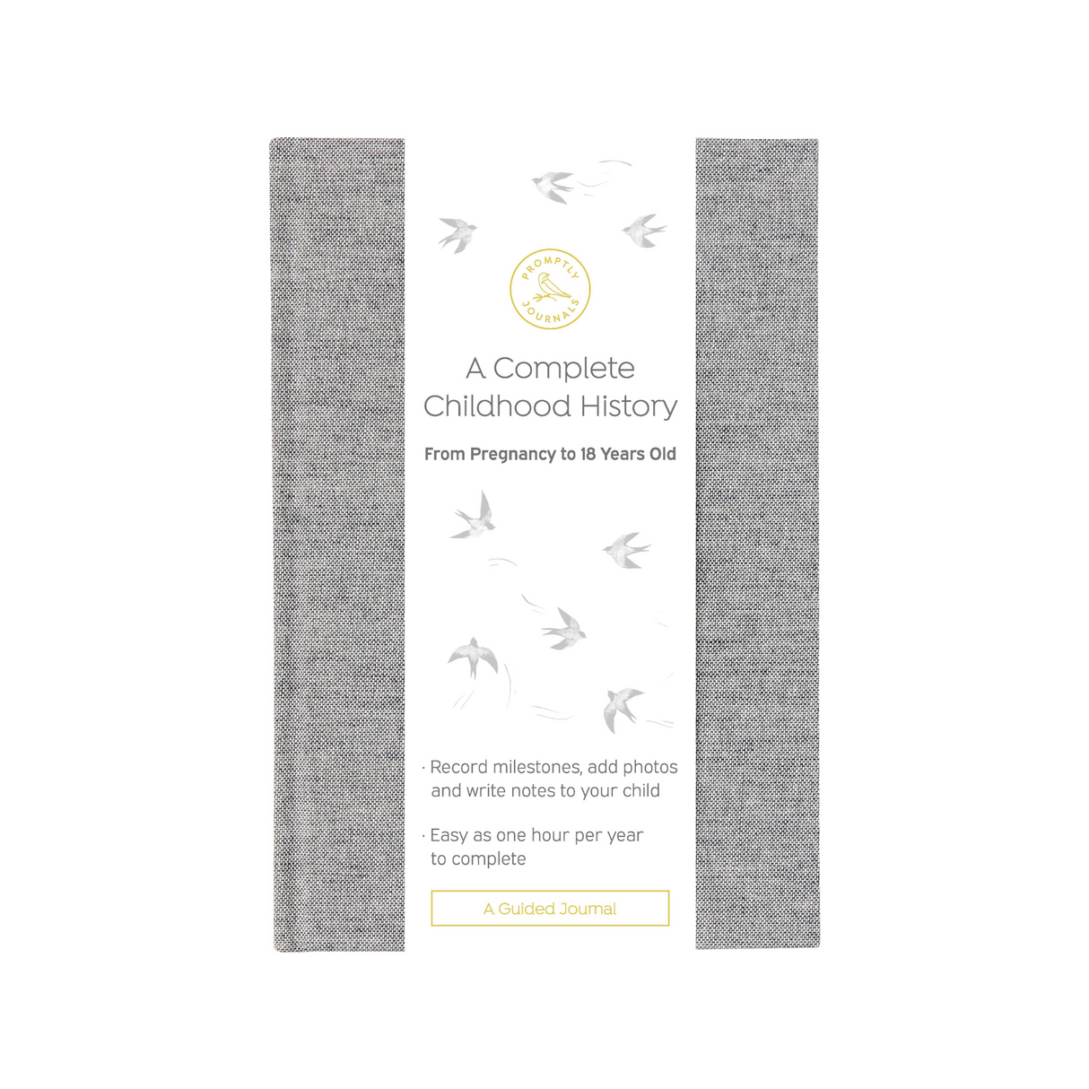 A Complete Childhood History: From Pregnancy to 18 Years Old (Grey Tweed, Linen) by Promptly Journals