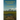Shadowed Glades