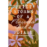 Quiet Storms of a Flawda Girl's Diary: Some Almost Entirely Untrue Short Stories