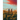 Rot & Ripening