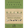 Ducks - Breeding, Rearing and Management