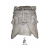 Drgdrsyaviveka: A philosophical investigation into the nature of the 'Seer' and the 'seen'