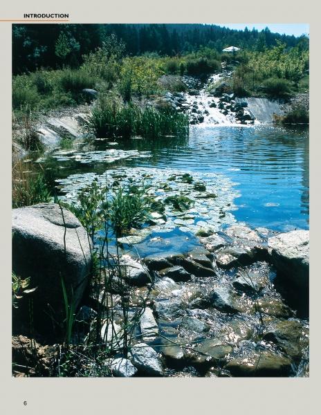 Water Gardens and Natural Pools by Schiffer Publishing