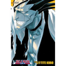 Bleach, Volumes 13-15