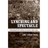 Lynching and Spectacle: Witnessing Racial Violence in America, 1890-1940