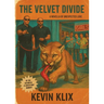The Velvet Divide: A Novella of Unexpected Love