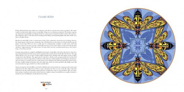 Nature Mandalas Wonders of the Garden by Schiffer Publishing