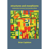 Structures and Morphisms: Mathematical Structures from Bounded Infinity