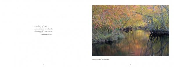 Pinelands by Schiffer Publishing