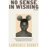 No Sense in Wishing: Essays