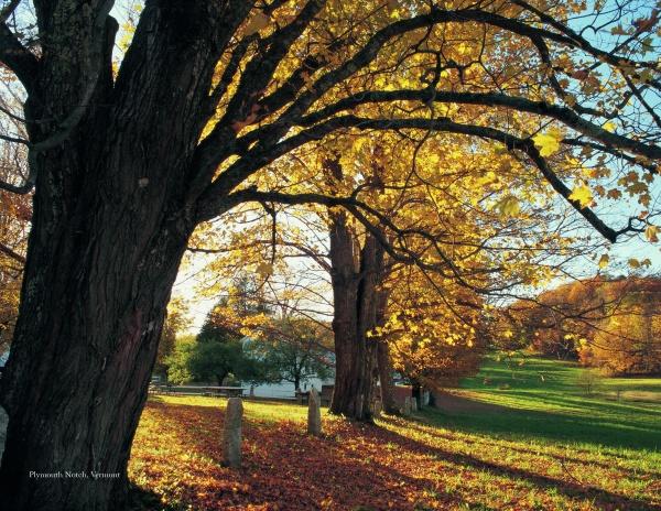 New England by Schiffer Publishing