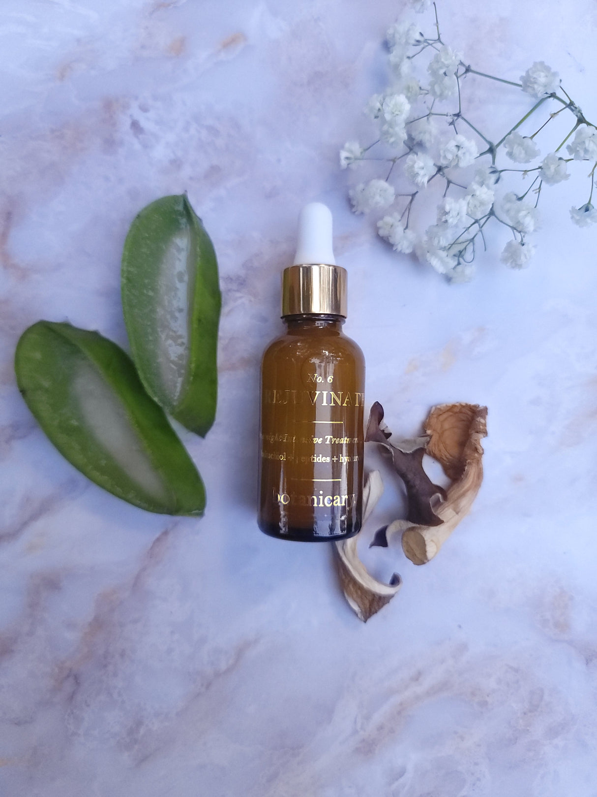 No. 6 REJUVENATE - Overnight Intensive Treatment Elixir by Botanicary Skincare