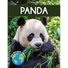 Panda: Fascinating Animal Facts for Kids