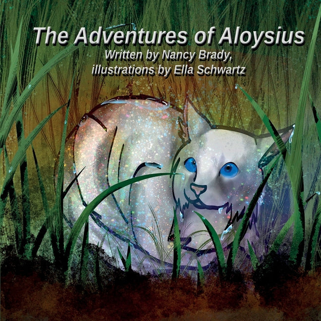 The Adventures of Aloysius - Paperback by Books by splitShops