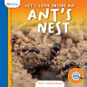 Let's Look Inside an Ant's Nest