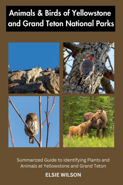 Animals and Birds of Yellowstone and Grand Teton National Parks: Guide to Exploring Animals and Birds of Yellowstone and Grand Teton - Paperback by Books by splitShops